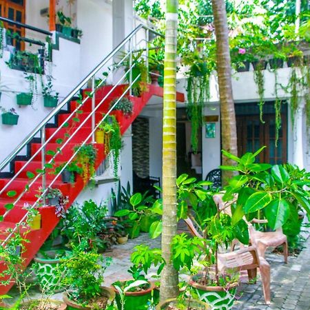 Sigiri Tarushan Home Stay Sigiriya Eksteriør bilde