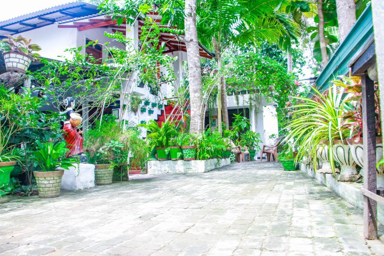 Sigiri Tarushan Home Stay Sigiriya Eksteriør bilde